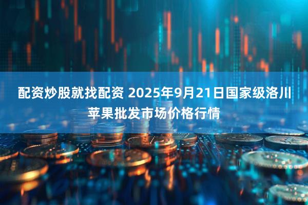 配资炒股就找配资 2025年9月21日国家级洛川苹果批发市场价格行情